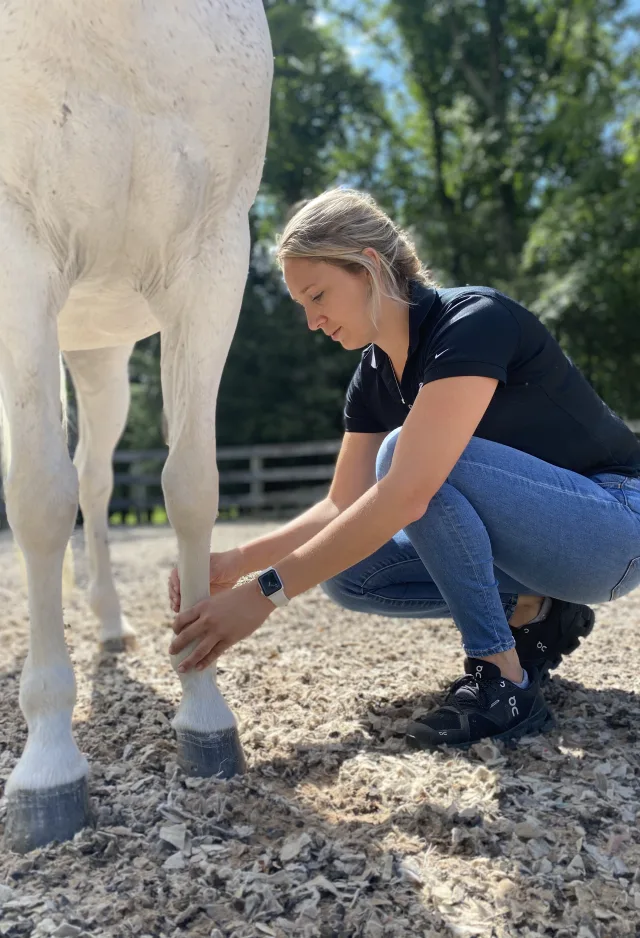 Dr. Victoria Duggan kneels to examine a horse's leg